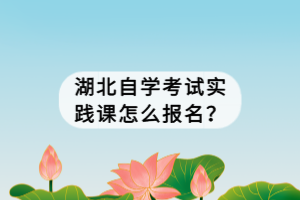 湖北自學(xué)考試實(shí)踐課怎么報(bào)名？
