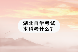 湖北自學(xué)考試本科考什么？
