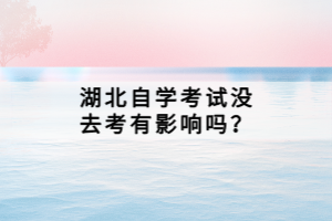 湖北自學考試沒去考有影響嗎？