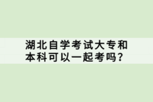湖北自學(xué)考試大專和本科可以一起考嗎？