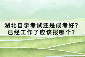 湖北自學(xué)考試還是成考好？已經(jīng)工作了應(yīng)該報(bào)哪個(gè)？
