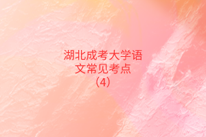 湖北成考大學(xué)語(yǔ)文常見考點(diǎn)（4）