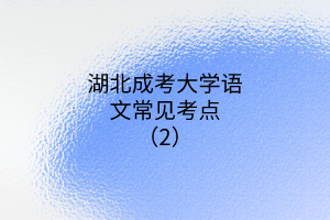 湖北成考大學(xué)語(yǔ)文常見考點(diǎn)（2）
