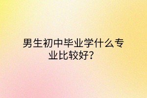 男生初中畢業(yè)學(xué)什么專業(yè)比較好? 男生初中畢業(yè)學(xué)什么專業(yè)比較好?