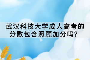 武漢科技大學(xué)成人高考的分?jǐn)?shù)包含照顧加分嗎？