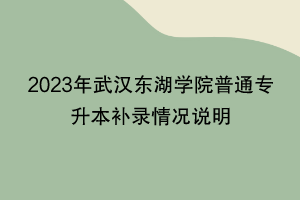 2023年武漢東湖學(xué)院普通專升本補(bǔ)錄情況說(shuō)明 2023年武漢東湖學(xué)院普通專升本補(bǔ)錄情況說(shuō)明