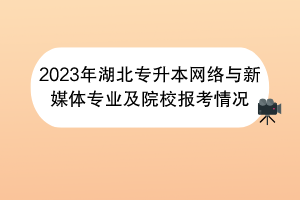 2023年湖北專升本網(wǎng)絡(luò)與新媒體專業(yè)及院校報(bào)考情況 2023年湖北專升本網(wǎng)絡(luò)與新媒體專業(yè)及院校報(bào)考情況