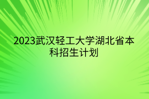 2023武漢輕工大學(xué)湖北省本科招生計(jì)劃 2023武漢輕工大學(xué)湖北省本科招生計(jì)劃