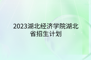 2023湖北經(jīng)濟學(xué)院湖北省招生計劃