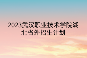 2023武漢職業(yè)技術(shù)學院湖北省外招生計劃