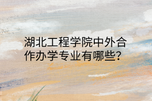 湖北工程學(xué)院中外合作辦學(xué)專業(yè)有哪些？