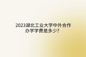 2023湖北工業(yè)大學(xué)中外合作辦學(xué)學(xué)費是多少？