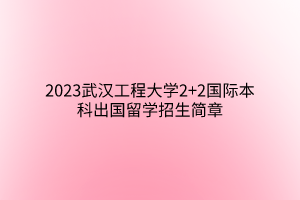 2023武漢工程大學(xué)2+2國(guó)際本科出國(guó)留學(xué)招生簡(jiǎn)章