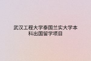 武漢工程大學(xué)泰國蘭實大學(xué)本科出國留學(xué)項目