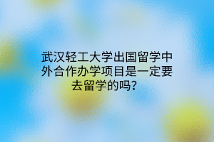武漢輕工大學出國留學中外合作辦學項目是一定要去留學的嗎? 武漢輕工大學出國留學中外合作辦學項目是一定要去留學的嗎?