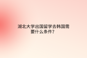 湖北大學(xué)出國留學(xué)去韓國需要什么條件？