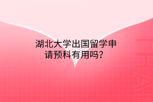 湖北大學(xué)出國(guó)留學(xué)申請(qǐng)預(yù)科有用嗎？