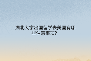 湖北大學(xué)出國(guó)留學(xué)去美國(guó)有哪些注意事項(xiàng)？