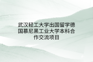 武漢輕工大學(xué)出國(guó)留學(xué)德國(guó)慕尼黑工業(yè)大學(xué)本科合作交流項(xiàng)目