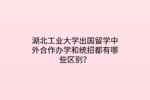 湖北工業(yè)大學(xué)出國留學(xué)中外合作辦學(xué)和統(tǒng)招都有哪些區(qū)別? 湖北工業(yè)大學(xué)出國留學(xué)中外合作辦學(xué)和統(tǒng)招都有哪些區(qū)別?