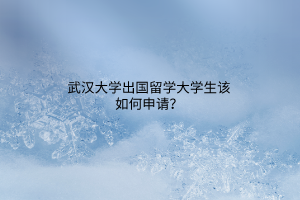 武漢大學(xué)出國留學(xué)大學(xué)生該如何申請? 武漢大學(xué)出國留學(xué)大學(xué)生該如何申請?