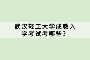 武漢輕工大學成教入學考試考哪些？