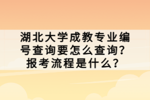 湖北大學(xué)成教專業(yè)編號查詢要怎么查詢？報考流程是什么？