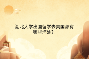 湖北大學(xué)出國留學(xué)去美國都有哪些壞處？