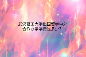 武漢輕工大學(xué)出國留學(xué)中外合作辦學(xué)學(xué)費是多少? 武漢輕工大學(xué)出國留學(xué)中外合作辦學(xué)學(xué)費是多少?