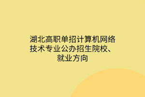 湖北高職單招計算機網(wǎng)絡(luò)技術(shù)專業(yè)公辦招生院校、就業(yè)方向