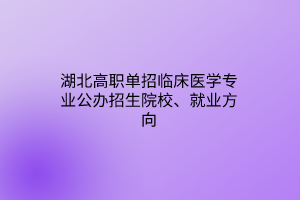 湖北高職單招臨床醫(yī)學(xué)專業(yè)公辦招生院校、就業(yè)方向