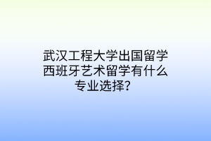 武漢工程大學出國留學西班牙藝術留學有什么專業(yè)選擇? 武漢工程大學出國留學西班牙藝術留學有什么專業(yè)選擇?