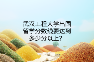 武漢工程大學(xué)出國(guó)留學(xué)分?jǐn)?shù)線要達(dá)到多少分以上? 武漢工程大學(xué)出國(guó)留學(xué)分?jǐn)?shù)線要達(dá)到多少分以上?