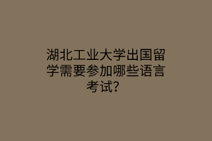 湖北工業(yè)大學(xué)出國留學(xué)需要參加哪些語言考試? 湖北工業(yè)大學(xué)出國留學(xué)需要參加哪些語言考試?