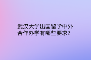 武漢大學(xué)出國(guó)留學(xué)中外合作辦學(xué)有哪些要求？