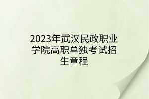 2023年武漢民政職業(yè)學院高職單獨考試招生章程