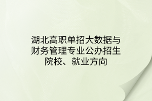 湖北高職單招大數(shù)據(jù)與財(cái)務(wù)管理專業(yè)公辦招生院校、就業(yè)方向