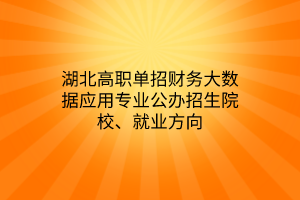 湖北高職單招財務(wù)大數(shù)據(jù)應(yīng)用專業(yè)公辦招生院校、就業(yè)方向