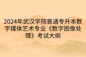 2024年武漢學(xué)院普通專升本數(shù)字媒體藝術(shù)專業(yè)《數(shù)字圖像處理》考試大綱(1) 2024年武漢學(xué)院普通專升本數(shù)字媒體藝術(shù)專業(yè)《數(shù)字圖像處理》考試大綱(1)