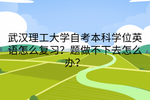 武漢理工大學(xué)自考本科學(xué)位英語(yǔ)怎么復(fù)習(xí)？題做不下去怎么辦？