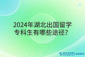 2024年湖北出國(guó)留學(xué)專科生有哪些途徑？