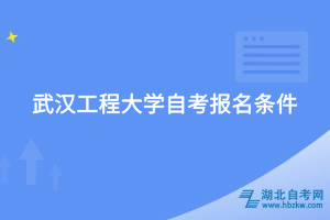 武漢工程大學(xué)自考報(bào)名條件