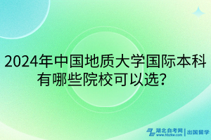 2024年中國地質(zhì)大學(xué)國際本科有哪些院校可以選? 2024年中國地質(zhì)大學(xué)國際本科有哪些院校可以選?