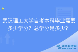 武漢理工大學自考本科畢業(yè)需要多少學分？總學分是多少？