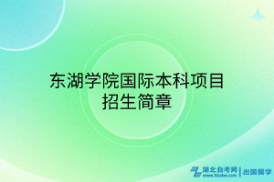 東湖學(xué)院國際本科項(xiàng)目招生簡章