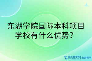 東湖學(xué)院國(guó)際本科項(xiàng)目學(xué)校有什么優(yōu)勢(shì)？