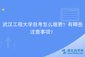 武漢工程大學(xué)自考?怎么繳費(fèi)？有哪些注意事項(xiàng)？