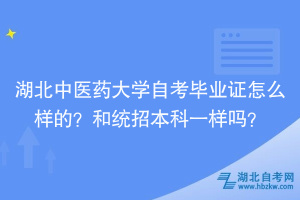 湖北中醫(yī)藥大學自考畢業(yè)證怎么樣的？和統(tǒng)招本科一樣嗎？