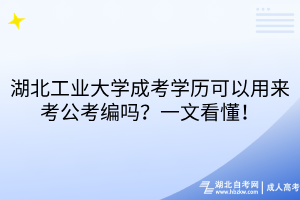 湖北工業(yè)大學成考學歷可以用來考公考編嗎？一文看懂！