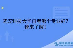 武漢科技大學(xué)自考哪個專業(yè)好？速來了解！